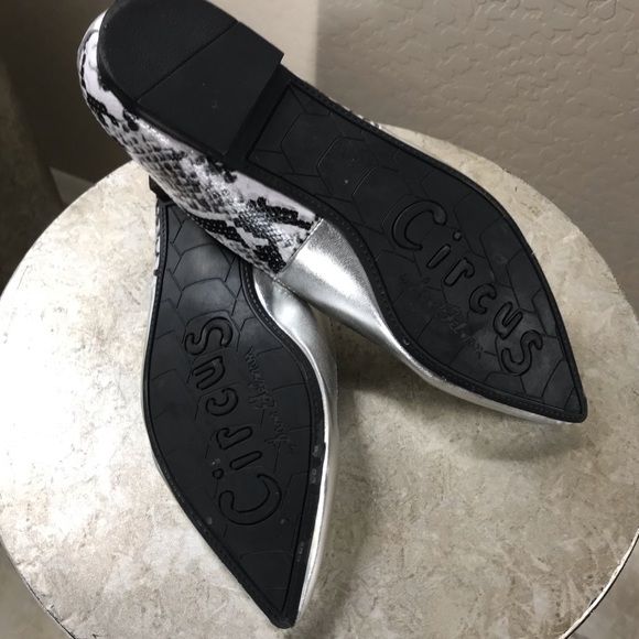 🎉NWOT-CIRCUS BY SAM EDELMAN- POINT TOE FLATS - Picture 5 of 8